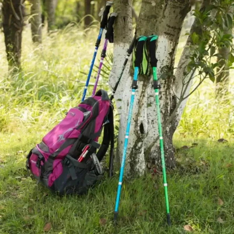 Collapsible Hiking Stick Adjustable Height Lightweight Aluminum Walking Staff for Trail Backpacking Mountain Trekking Men Women Outdoor | Thomler