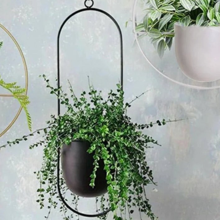 Hanging Plant Pot Iron 8 in Indoor Outdoor Modern Decor Floating Style Minimalist Planter | Thomler