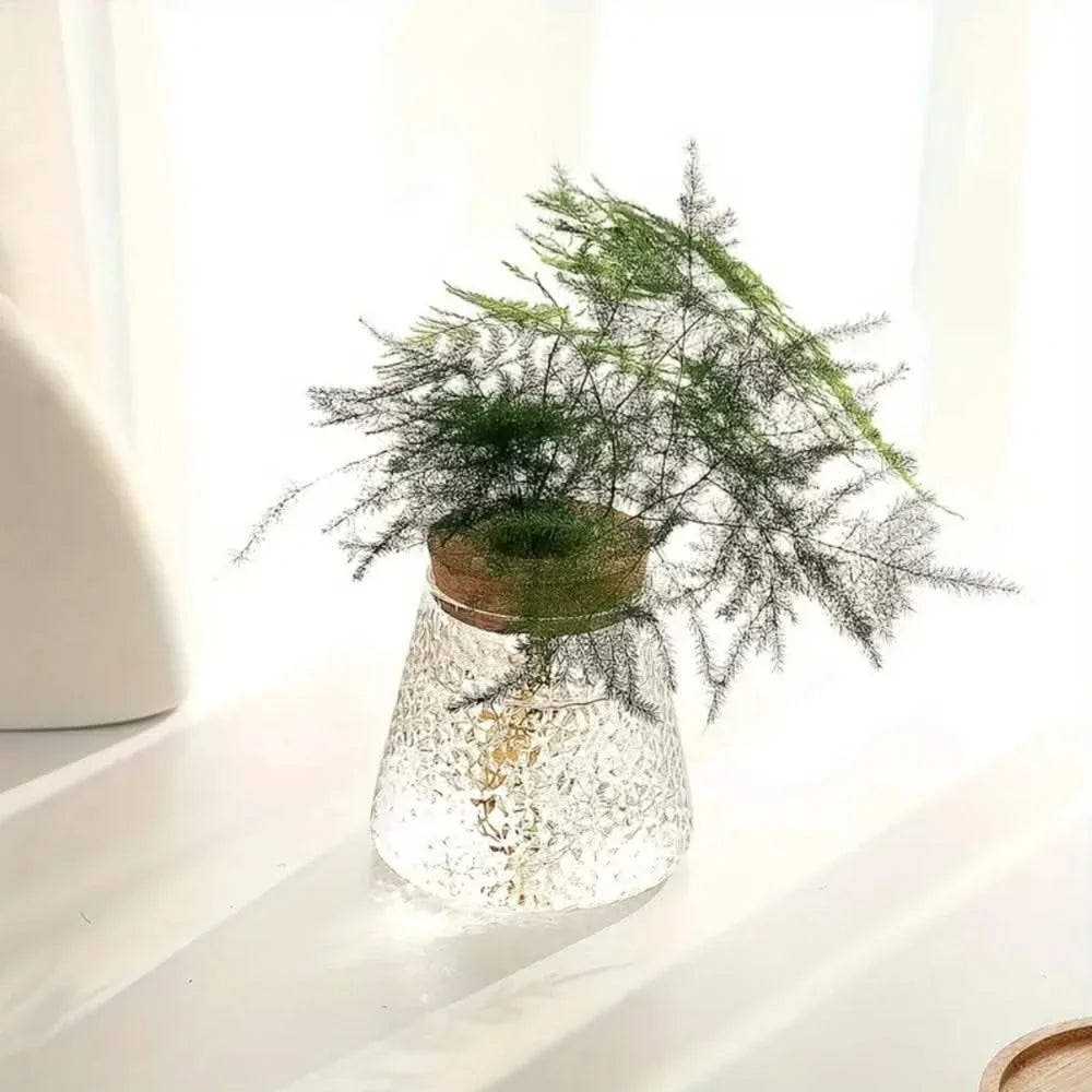 Transparent Desktop Water Planter with Natural Wood Lid – Tabletop Root Display Container for Cuttings & Greenery | Thomler