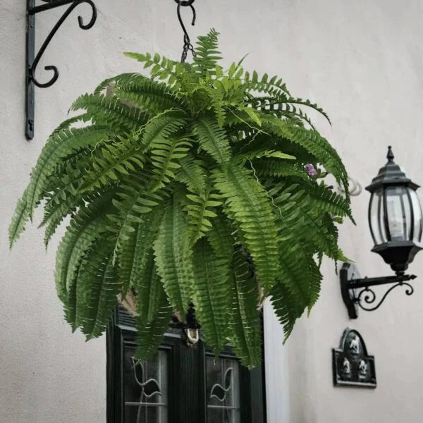 Faux Fern Plant Insert UV-Resistant PVC Greenery for Pots Hanging Baskets Indoor Outdoor Adjustable No-Water Decoration | Thomler
