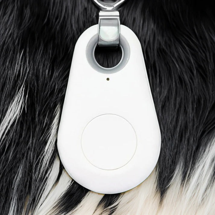 Bluetooth Pet Locator Tag for Dogs & Cats – Waterproof GPS Finder with Proximity Alerts, Safe Zone Notifications & Real-Time Tracking App | Thomler