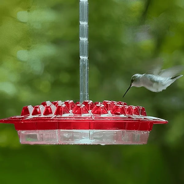 Red Glass Hummingbird Feeder 30 Feeding Ports Clear Reservoir with Ant Moat Hook for Backyard Garden Patio Outdoor Bird Watching | Thomler