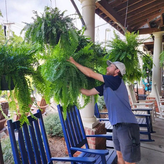 Outdoor Faux Fern Bush – Weatherproof Synthetic Greenery for Porch, Patio & Yard Decor | Thomler