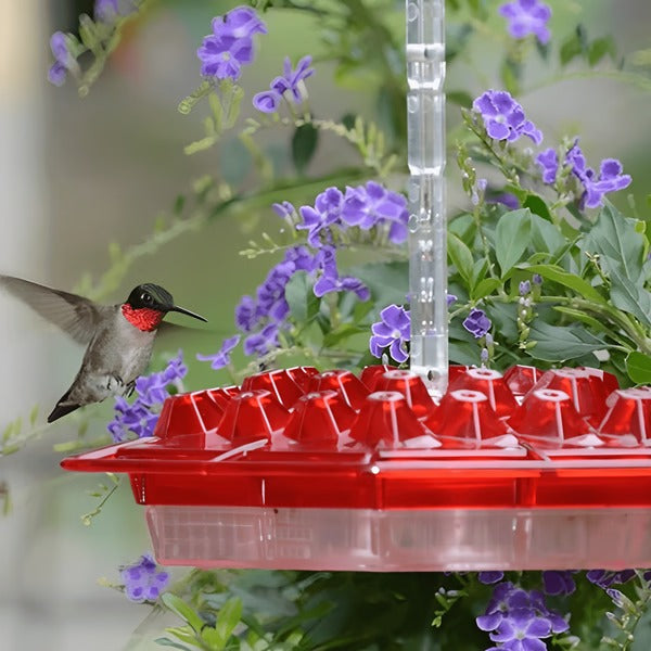 Red Glass Hummingbird Feeder 30 Feeding Ports Clear Reservoir with Ant Moat Hook for Backyard Garden Patio Outdoor Bird Watching | Thomler