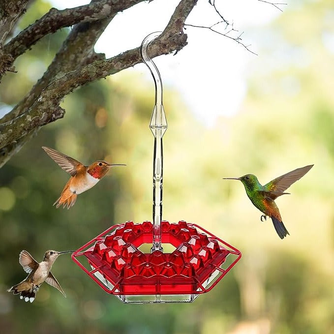 Hummingbird Feeder with Ant Moat for Outdoor Garden – 30 Flower Ports, Weather Resistant, Easy Fill Design for Backyard Bird Feeding | Thomler
