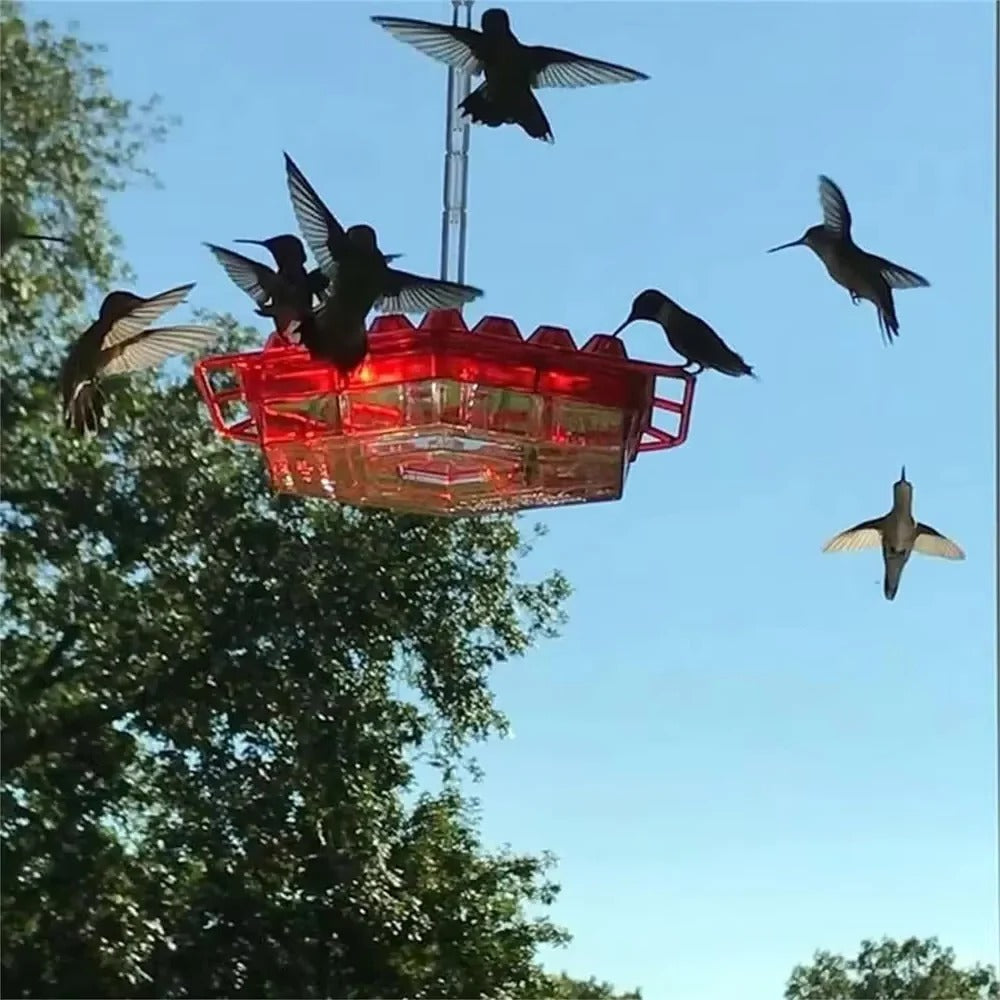 Hummingbird Feeder with Ant Moat for Outdoor Garden – 30 Flower Ports, Weather Resistant, Easy Fill Design for Backyard Bird Feeding | Thomler