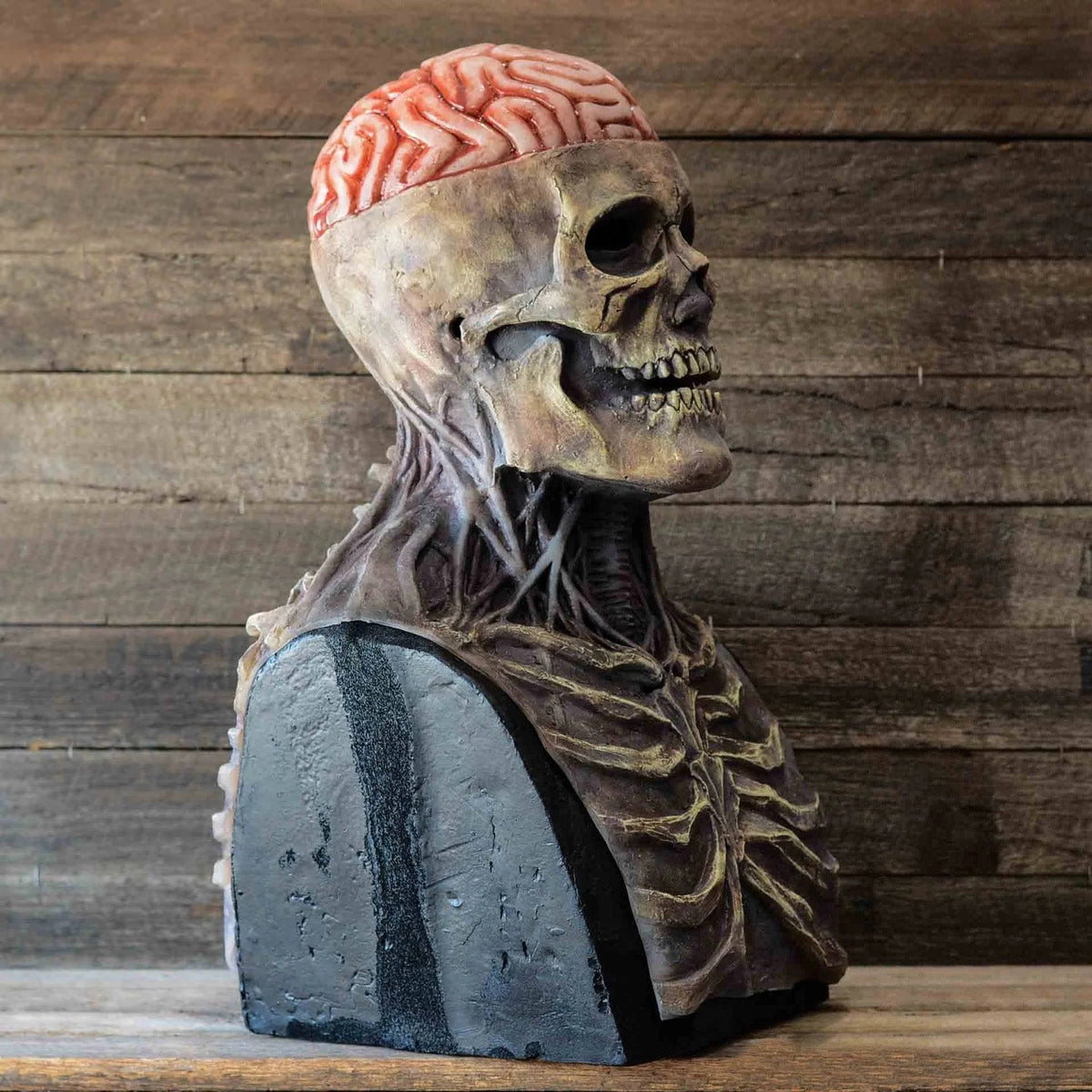 Movable Jaw Skull Face Mask – Full Head Latex Costume for Halloween Parties & Cosplay Events | Thomler