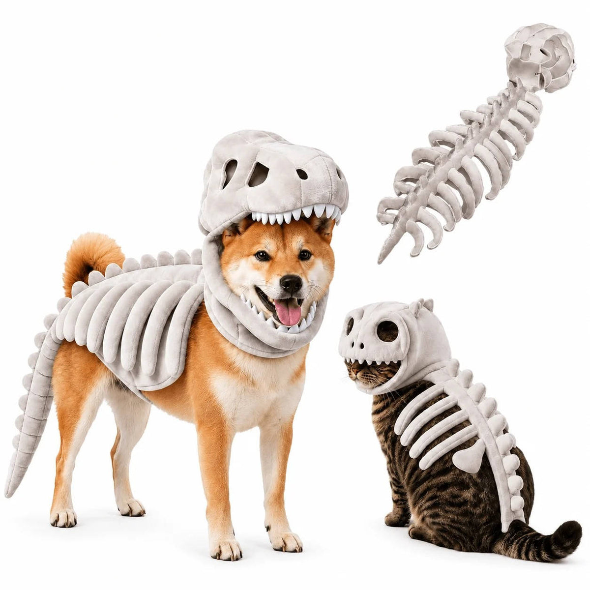 Dino Skeleton Outfit for Dogs & Cats – 3D Skull Cap, Raised Rib Detail, Flexible Tail, Plush Halloween Costume for Pets | Thomler