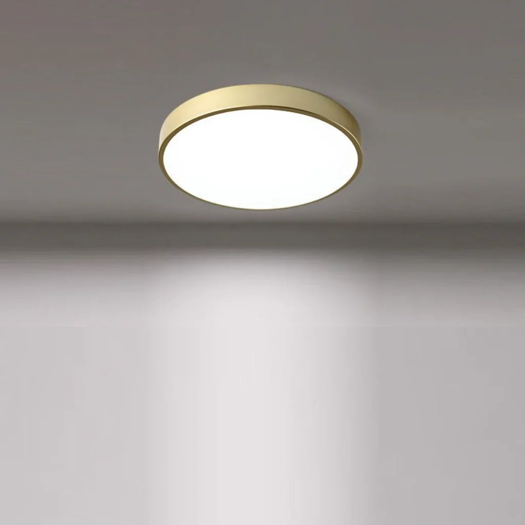 Flush-Mount LED Disc Ceiling Fixture with Metal Housing – Modern Ambient Overhead Lighting for Home | Thomler