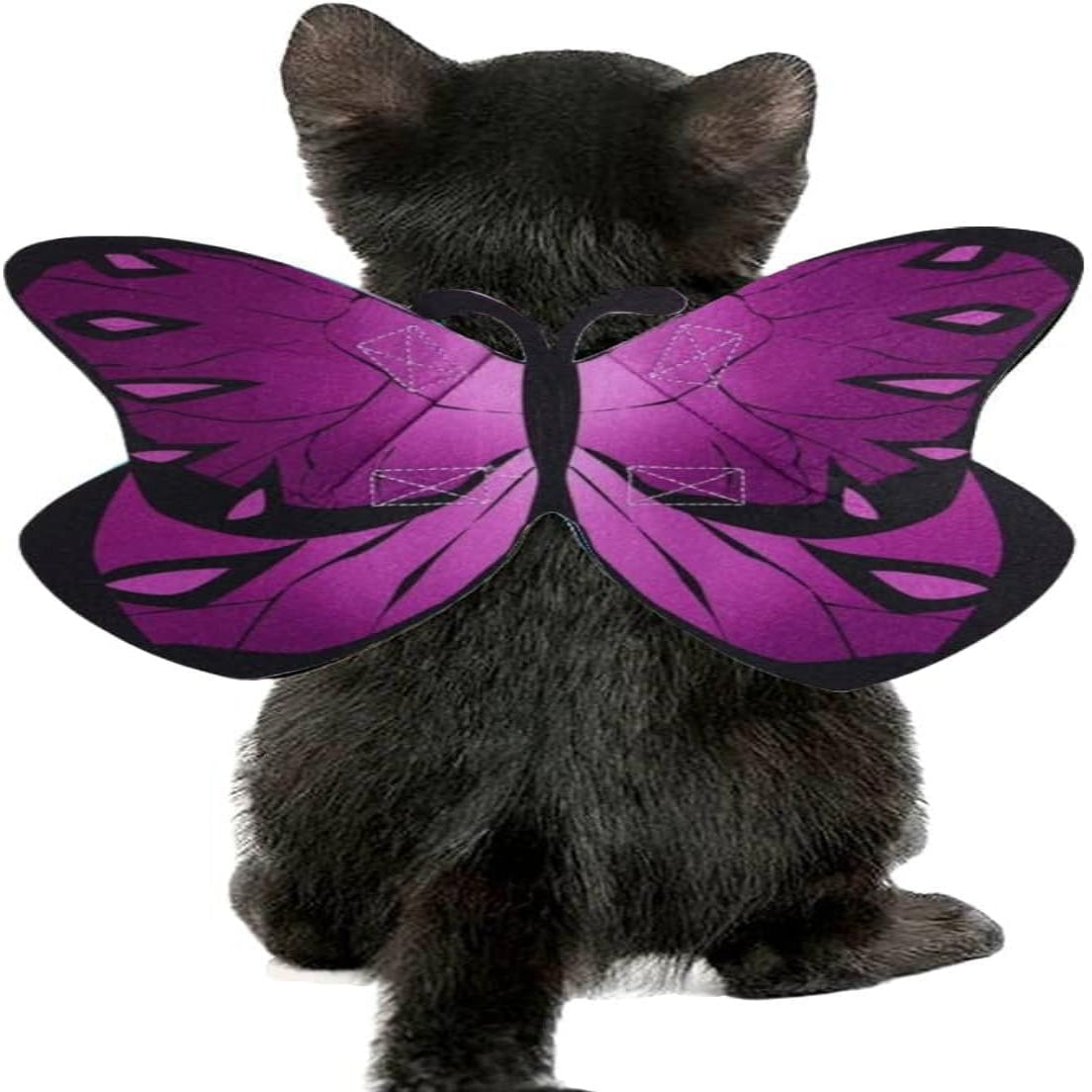 Pet Bat Wings Costume Accessory for Cats & Small Dogs – Halloween Dress-Up | Thomler