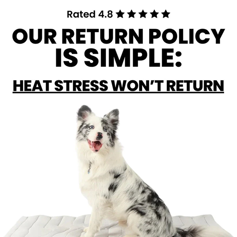 Self-Activating Pet Bed Pad for Dogs – Heat-Dissipating Resting Surface with Machine Washable Fabric & Portable Design | Thomler