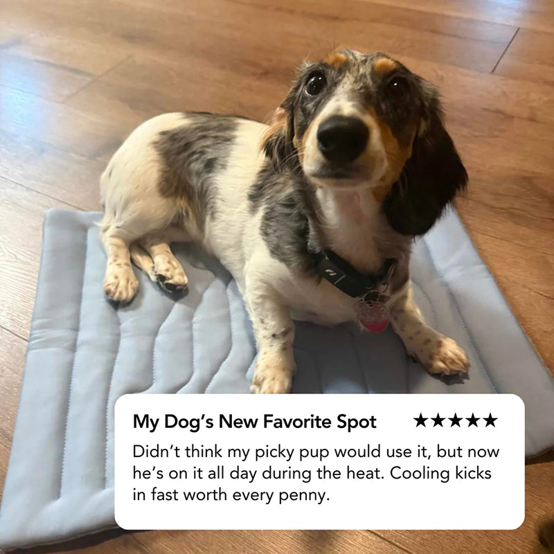 Self-Activating Pet Bed Pad for Dogs – Heat-Dissipating Resting Surface with Machine Washable Fabric & Portable Design | Thomler