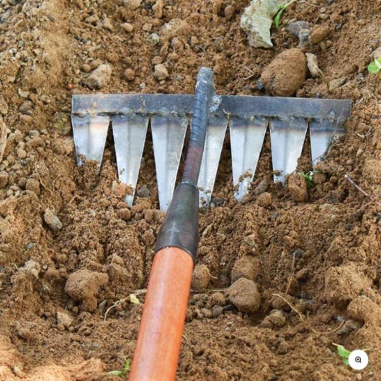 Stainless Steel Weed Removal Rake for Lawns & Gardens – Deep-Root Extractor Tool with V-Shaped Tines for Soil Prep & Weeding | Thomler