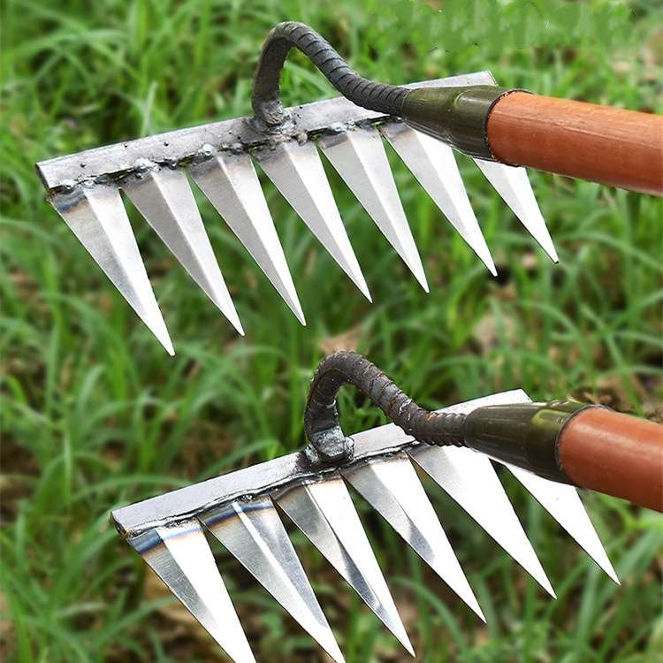 Stainless Steel Weed Removal Rake for Lawns & Gardens – Deep-Root Extractor Tool with V-Shaped Tines for Soil Prep & Weeding | Thomler