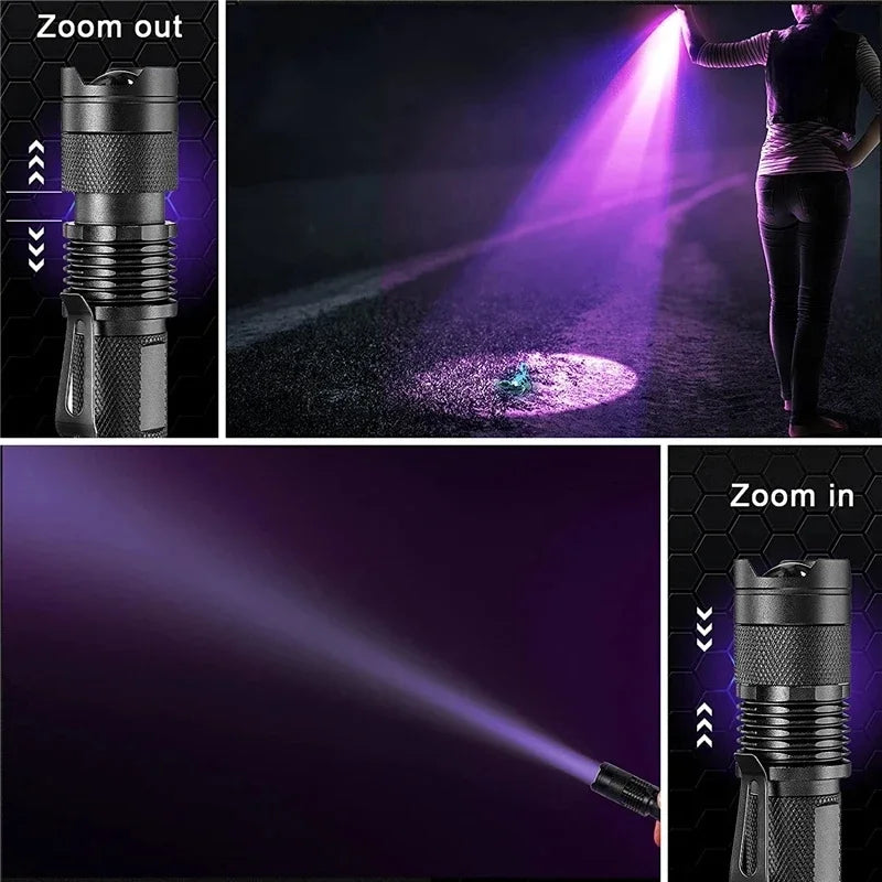 Ultraviolet Flashlight for Pet Stain Detection | UV Blacklight Torch for Carpet & Floor Inspection | Aluminum Handheld Light for Home & Prof | Thomler
