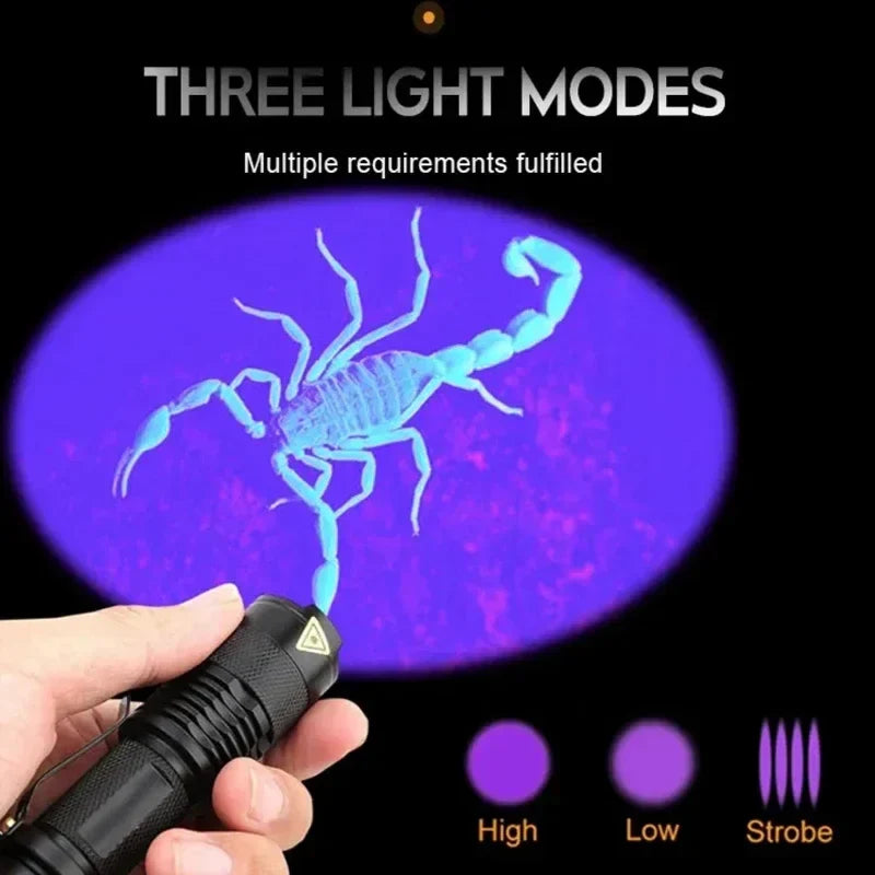 Ultraviolet Flashlight for Pet Stain Detection | UV Blacklight Torch for Carpet & Floor Inspection | Aluminum Handheld Light for Home & Prof | Thomler