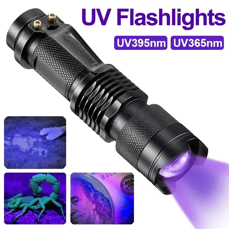 Ultraviolet Flashlight for Pet Stain Detection | UV Blacklight Torch for Carpet & Floor Inspection | Aluminum Handheld Light for Home & Prof | Thomler