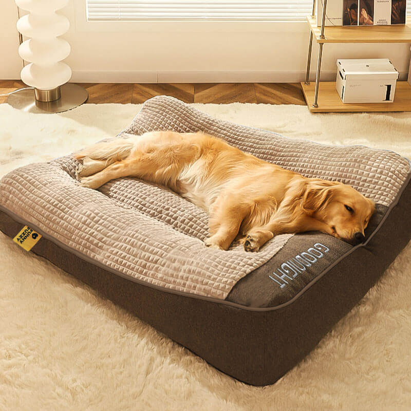 Elevated Edge Pet Bed with Raised Bolster – Plush Velour Orthopedic Dog Sleeping Mat for Joint Support, Removable Washable Cover, Medium | Thomler