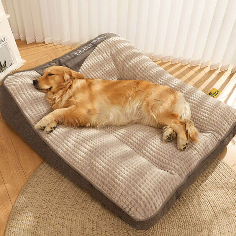 Orthopedic Dog Bed with Raised Bolster Pillow – Plush Crystal Velvet Pet Cushion for Joint Support, Machine Washable Cover for Small to | Thomler