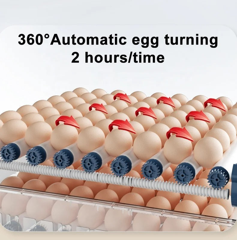 Automatic Egg Incubator with Digital Display & Auto-Turner for Chickens, Ducks & Poultry – 15, 24 or 36 Egg Capacity Home Hatcher for | Thomler