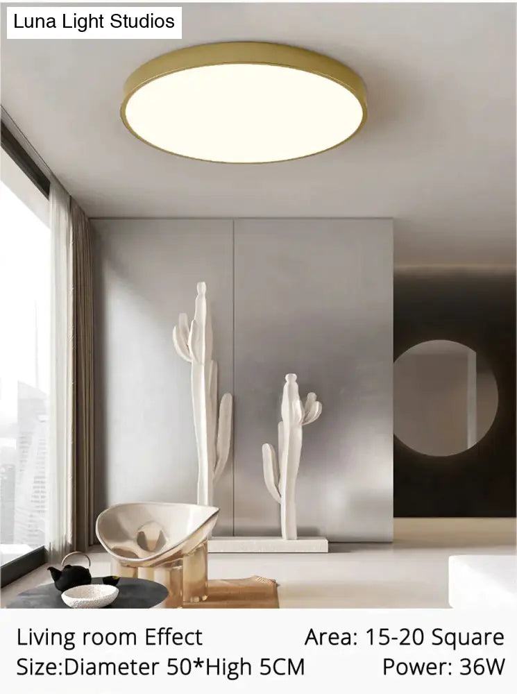Dimmable LED Ceiling Light Fixture with Remote Control – Modern Flush Mount Design for Bedroom, Living Room & Kitchen | Thomler