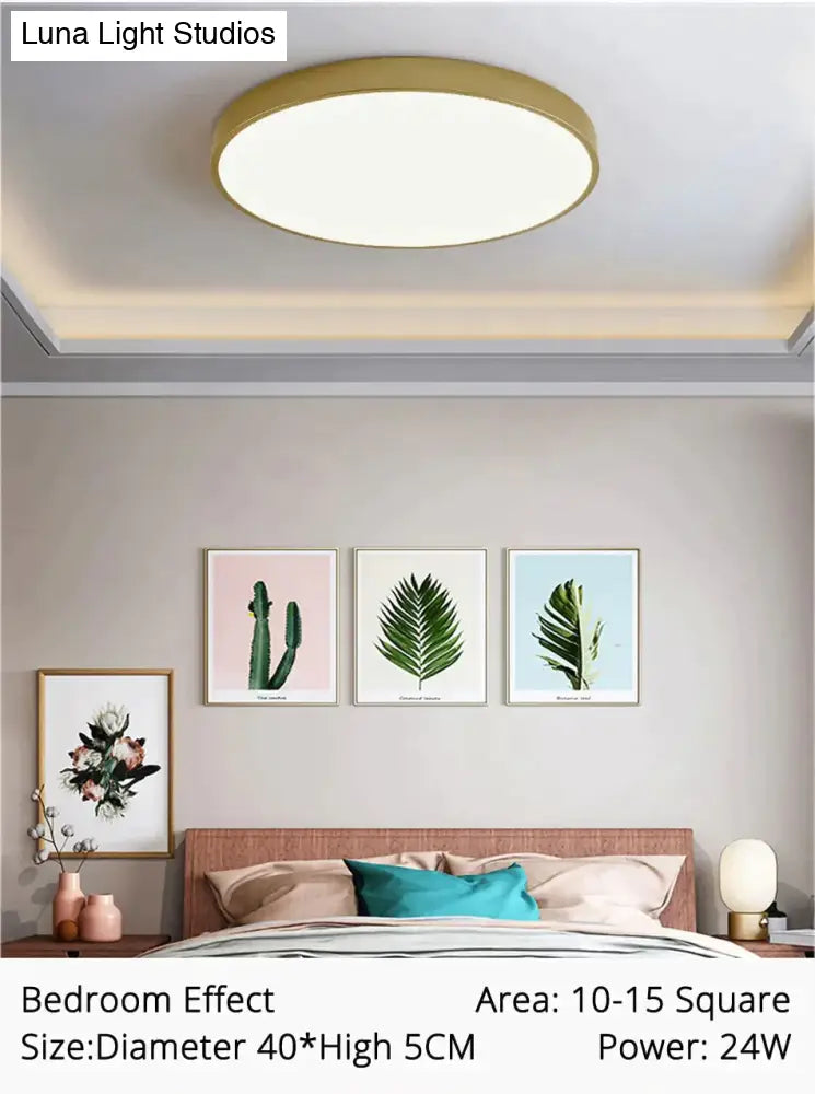 Dimmable LED Ceiling Light Fixture with Remote Control – Modern Flush Mount Design for Bedroom, Living Room & Kitchen | Thomler