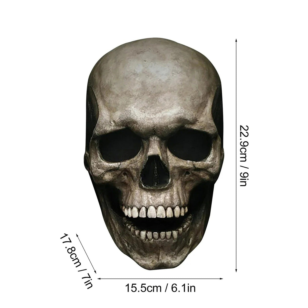 Articulated Skeleton Head Costume with Hinged Lower Jaw for Adults – Pale & Aged Finishes | Thomler