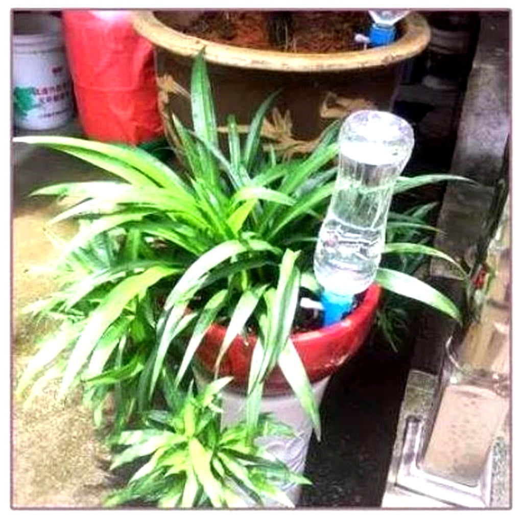 Drip Irrigation Stakes for Potted Plants – Slow Release Watering System with Adjustable Flow Control for Indoor & Outdoor Gardens | Thomler