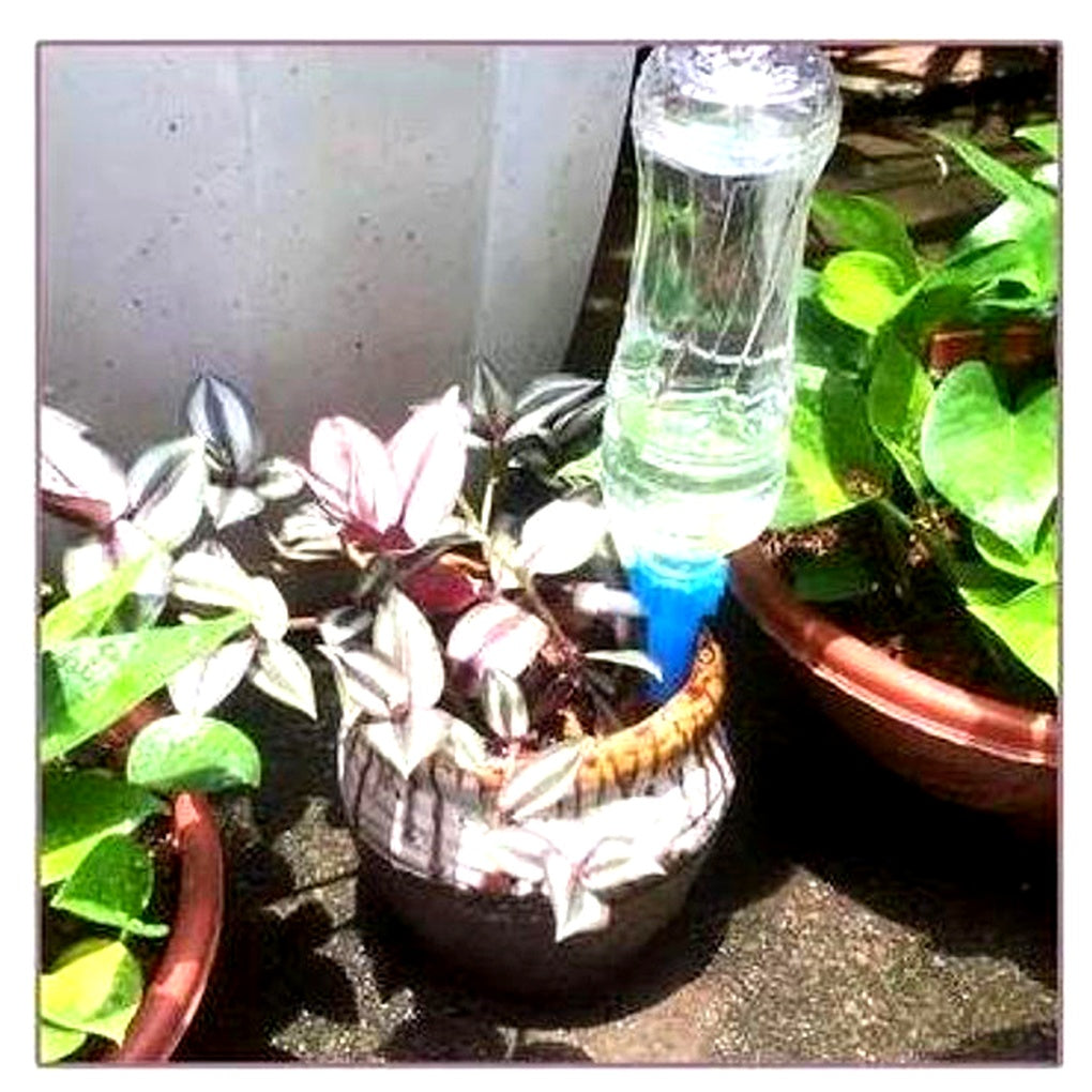 Drip Irrigation Stakes for Potted Plants – Slow Release Watering System with Adjustable Flow Control for Indoor & Outdoor Gardens | Thomler
