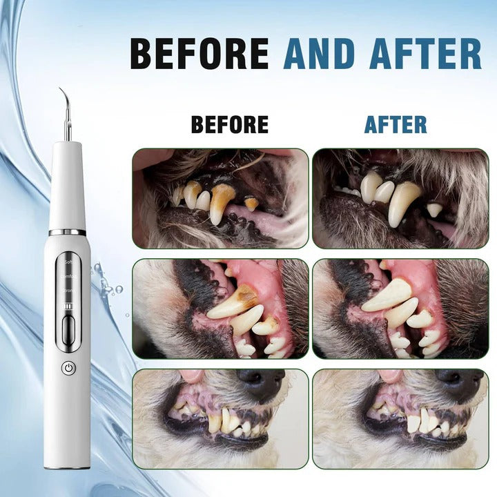 Ultrasonic Dog Teeth Cleaner with LED Light & Auto Gum Sensor for Safe At-Home Pet Dental Care | Thomler