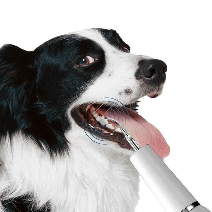 Ultrasonic Dog Teeth Cleaner with LED Light & Auto Gum Sensor for Safe At-Home Pet Dental Care | Thomler
