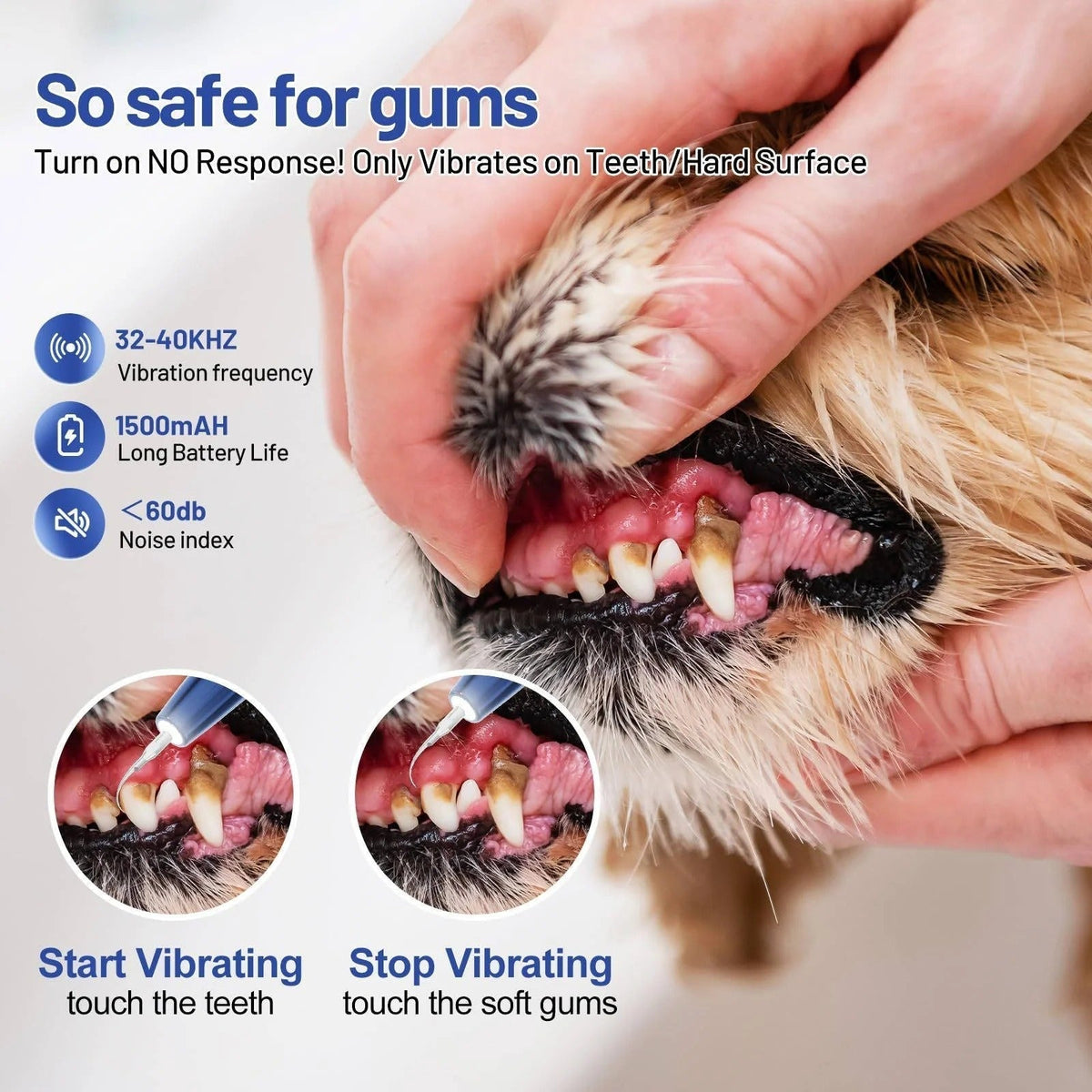 Ultrasonic Dog Teeth Cleaner with LED Light & Auto Gum Sensor for Safe At-Home Pet Dental Care | Thomler