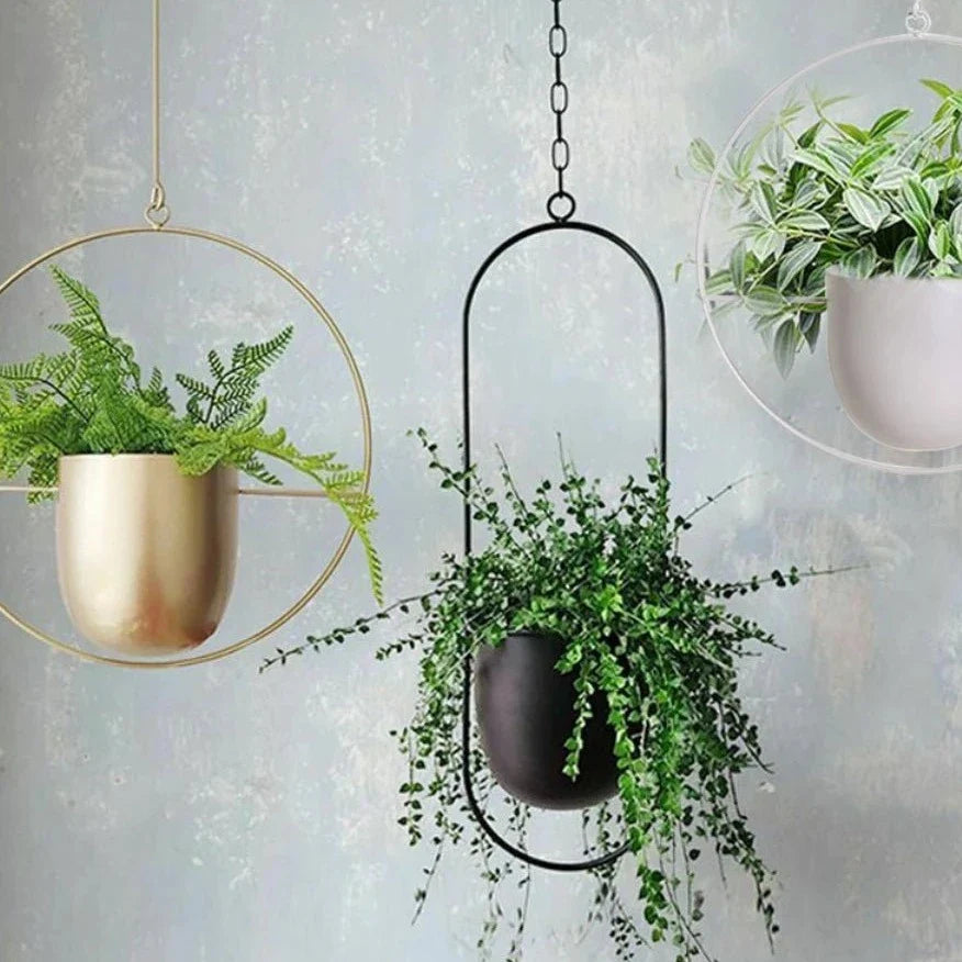Hanging Plant Pot Iron 8 in Indoor Outdoor Modern Decor Floating Style Minimalist Planter | Thomler