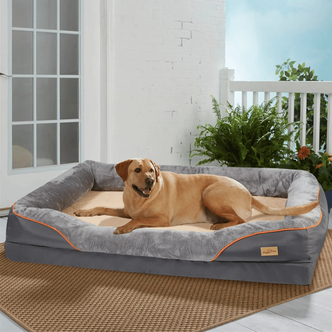 Premium Joint-Support Dog Bed with High-Density Foam Core for Big Pups – Extra-Large Cushioned Bolster Pet Lounger with Removable Washable | Thomler