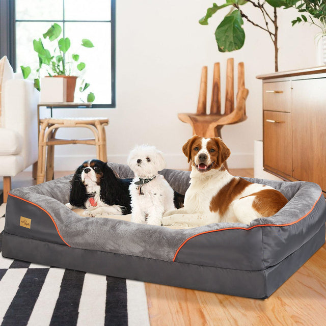Premium Joint-Support Dog Bed with High-Density Foam Core for Big Pups – Extra-Large Cushioned Bolster Pet Lounger with Removable Washable | Thomler