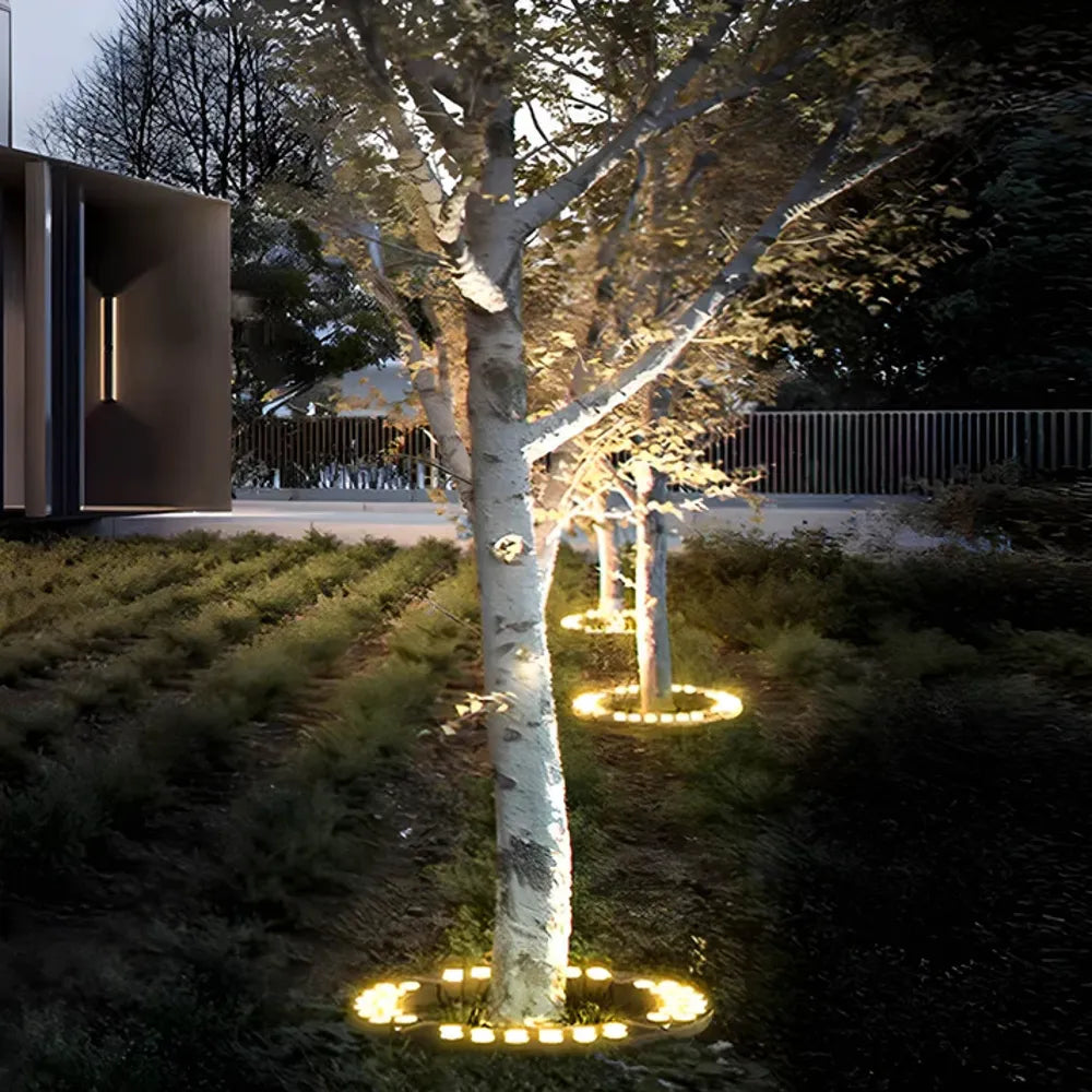 Outdoor Ground Spotlight for Trees & Landscape Uplighting – LED Solar-Powered Garden Accent Light | Thomler