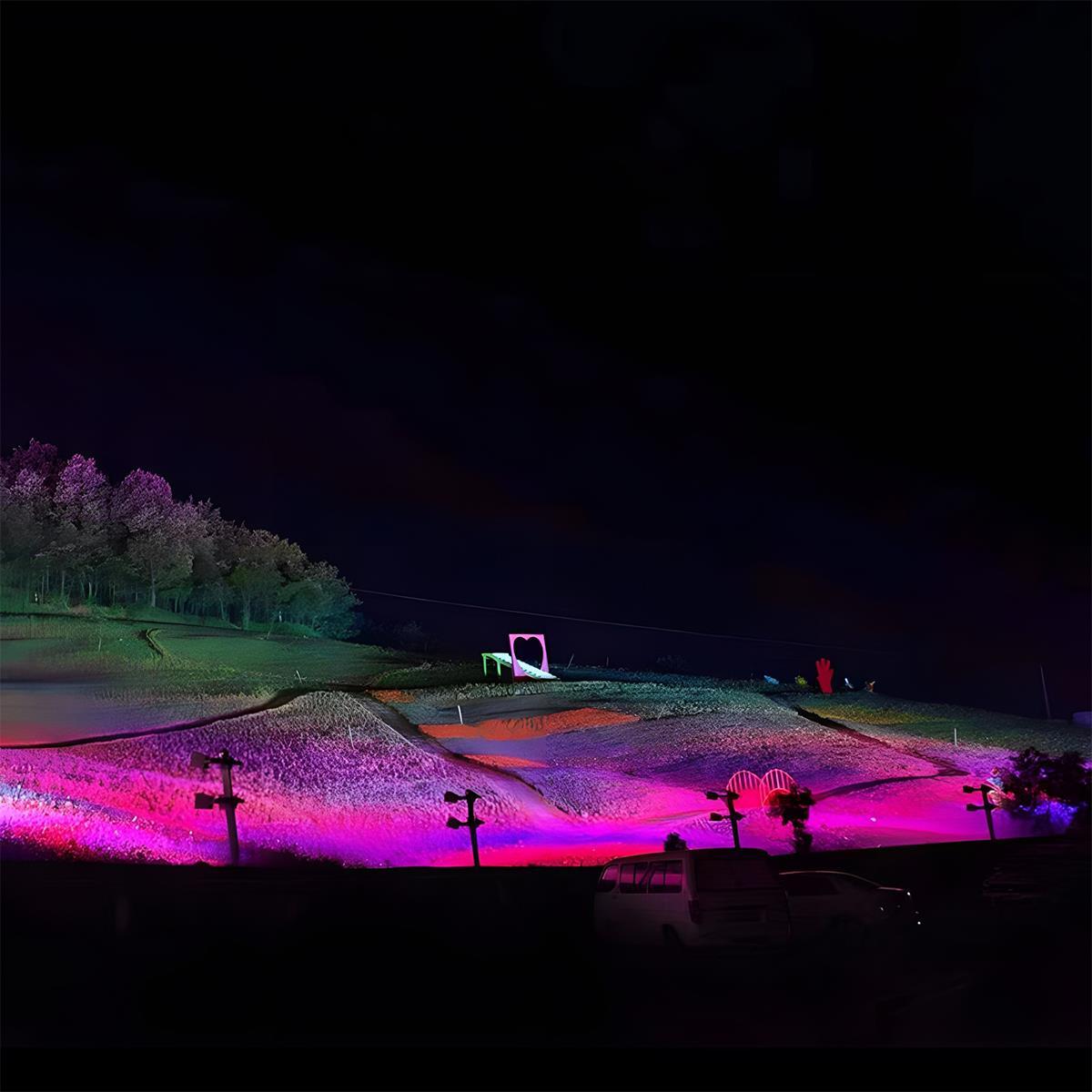 Color-Changing Garden Spotlight – Weatherproof Uplight for Trees, Shrubs & Walls – Hardwire or Plug-In | Thomler