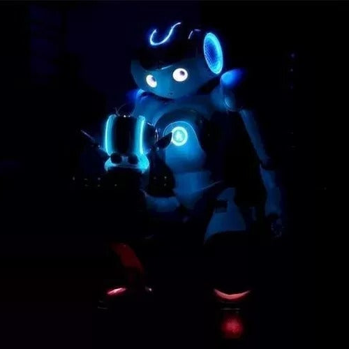 Interactive AI Robot with Voice Recognition & Multi-Language Support for Education & Entertainment | Thomler