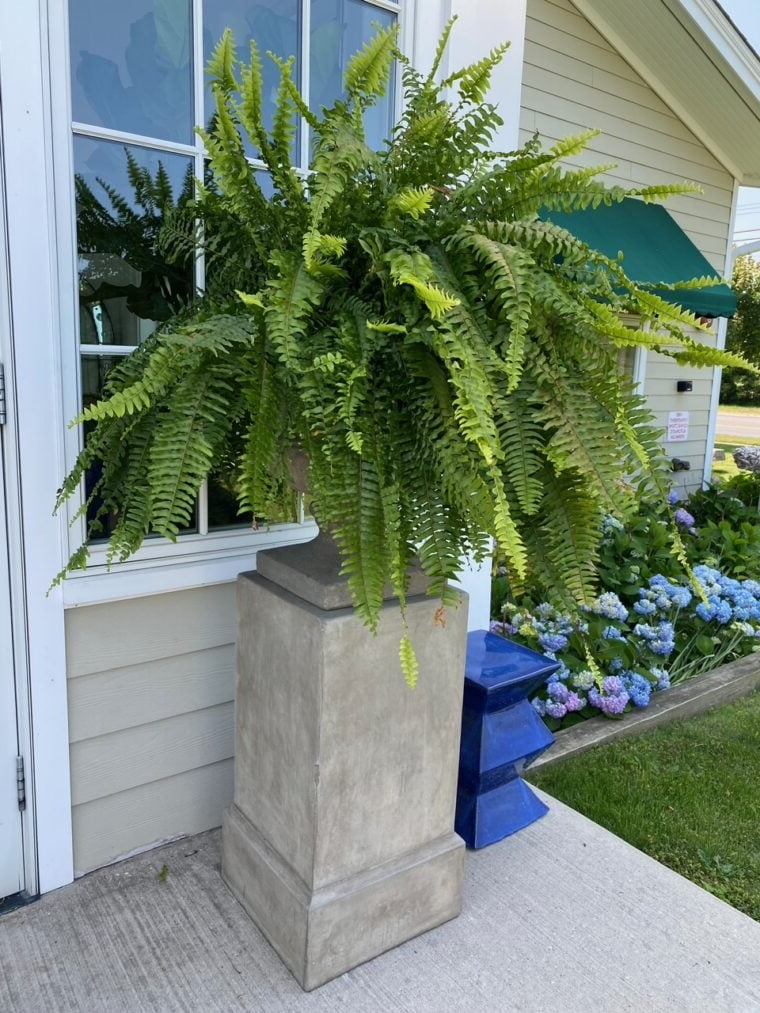 Hanging Faux Fern Plant Set – UV-Proof Outdoor Greenery 18-Piece Waterproof Vine Bundle for Patio Pergola Fence Garden Porch Decor Indoor | Thomler
