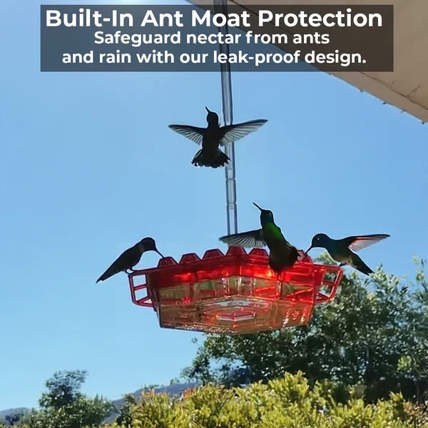 Hexagonal Nectar Station for Hummingbirds – 30 Feeding Openings, Built-In Insect Barrier, 12 oz Capacity, Weather-Proof Design for | Thomler