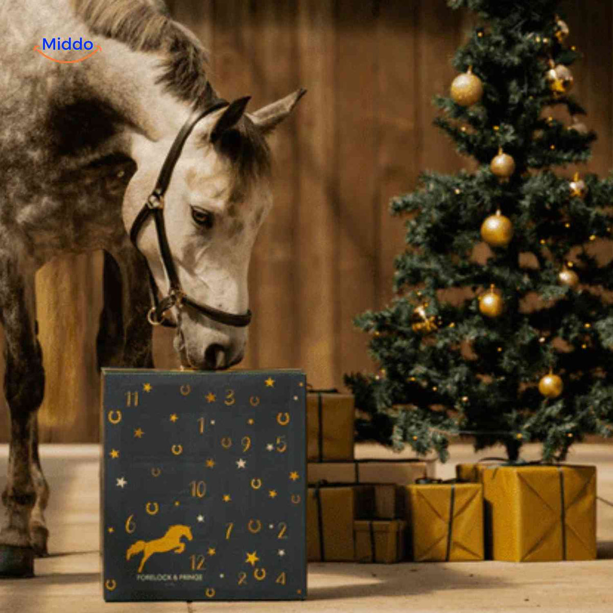 Horse Lover's Advent Calendar – 24 Daily Equestrian Trinkets & Charms for December Countdown | Thomler