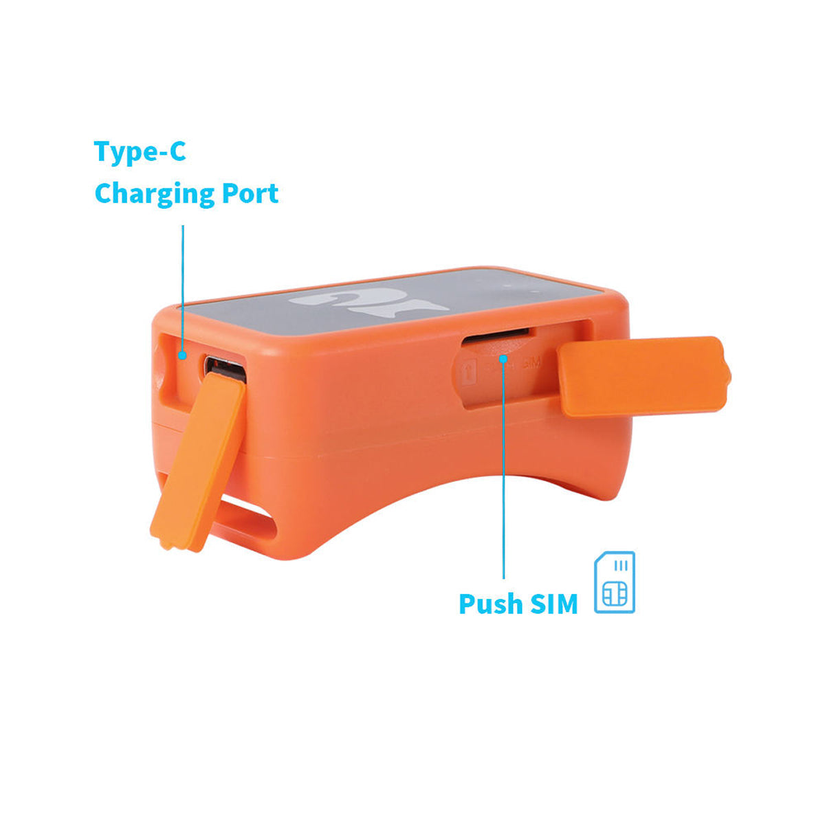 Real-Time Cat & Small Dog Location Monitor with Geo-Fence Alerts, Activity Tracking & No Monthly Fees – Subscription-Free Pet Safety | Thomler