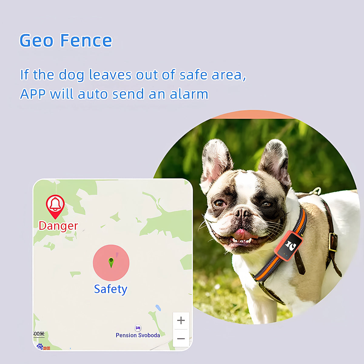 Real-Time Cat & Small Dog Location Monitor with Geo-Fence Alerts, Activity Tracking & No Monthly Fees – Subscription-Free Pet Safety | Thomler