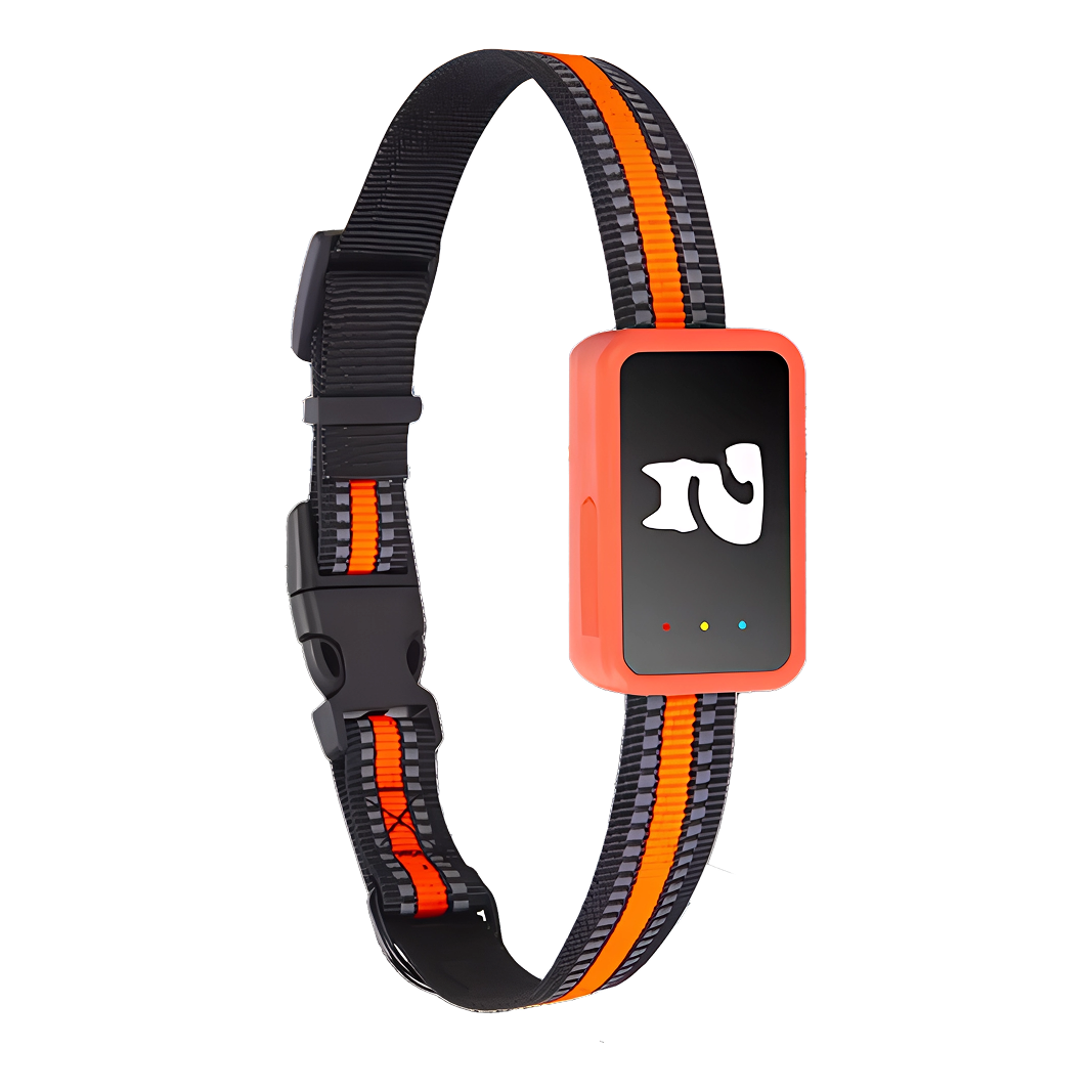 Real-Time Cat & Small Dog Location Monitor with Geo-Fence Alerts, Activity Tracking & No Monthly Fees – Subscription-Free Pet Safety | Thomler