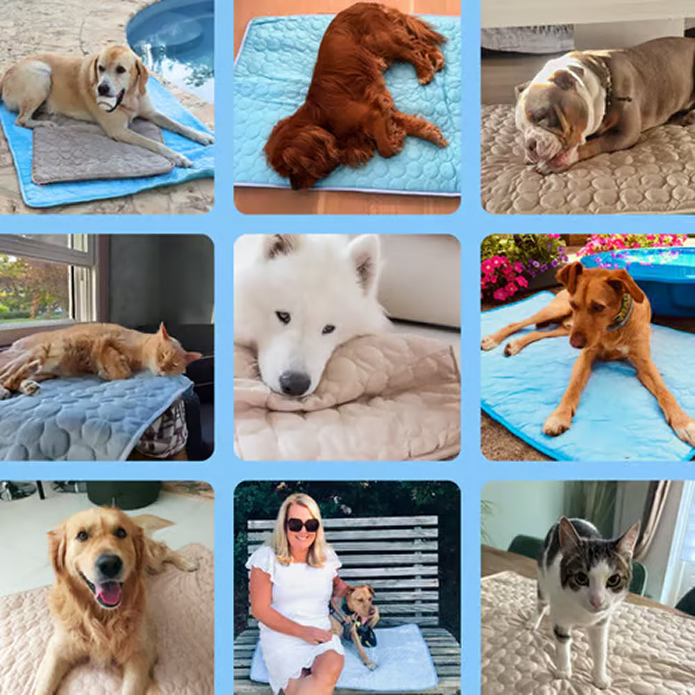 Self-Cooling Dog Mat | Gel-Free Heat Relief Pad for Summer | Machine Washable | 6 Sizes for Small to Large Dogs | Thomler