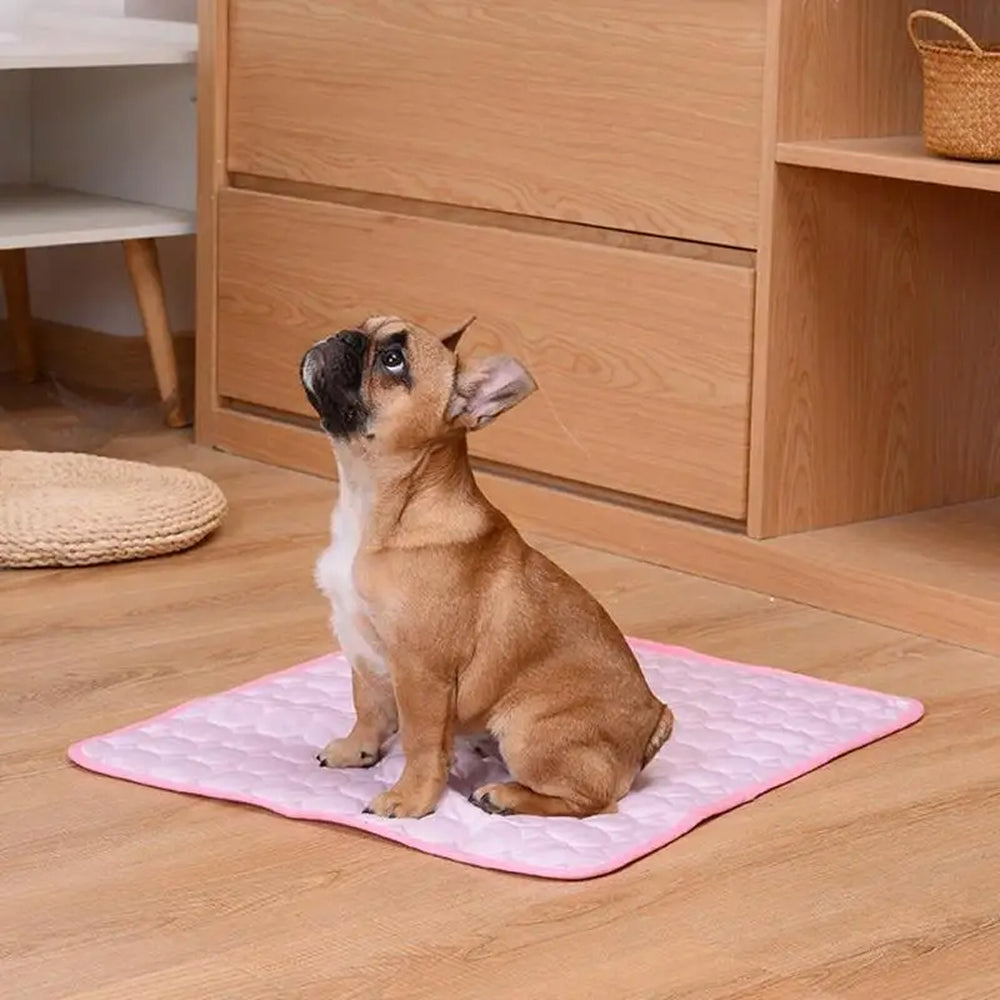 Self-Cooling Dog Mat | Gel-Free Heat Relief Pad for Summer | Machine Washable | 6 Sizes for Small to Large Dogs | Thomler