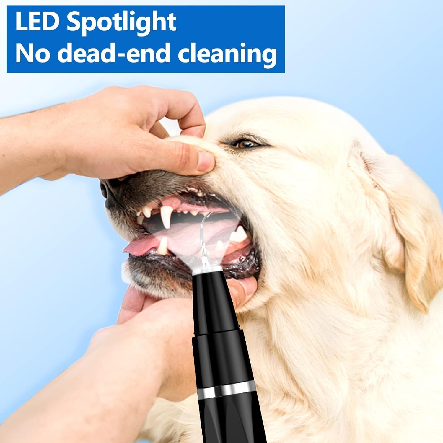 Ultrasonic Dog & Cat Dental Scaler for Home Use – Rechargeable Pet Tooth Cleaning Tool for Tartar & Plaque | Thomler