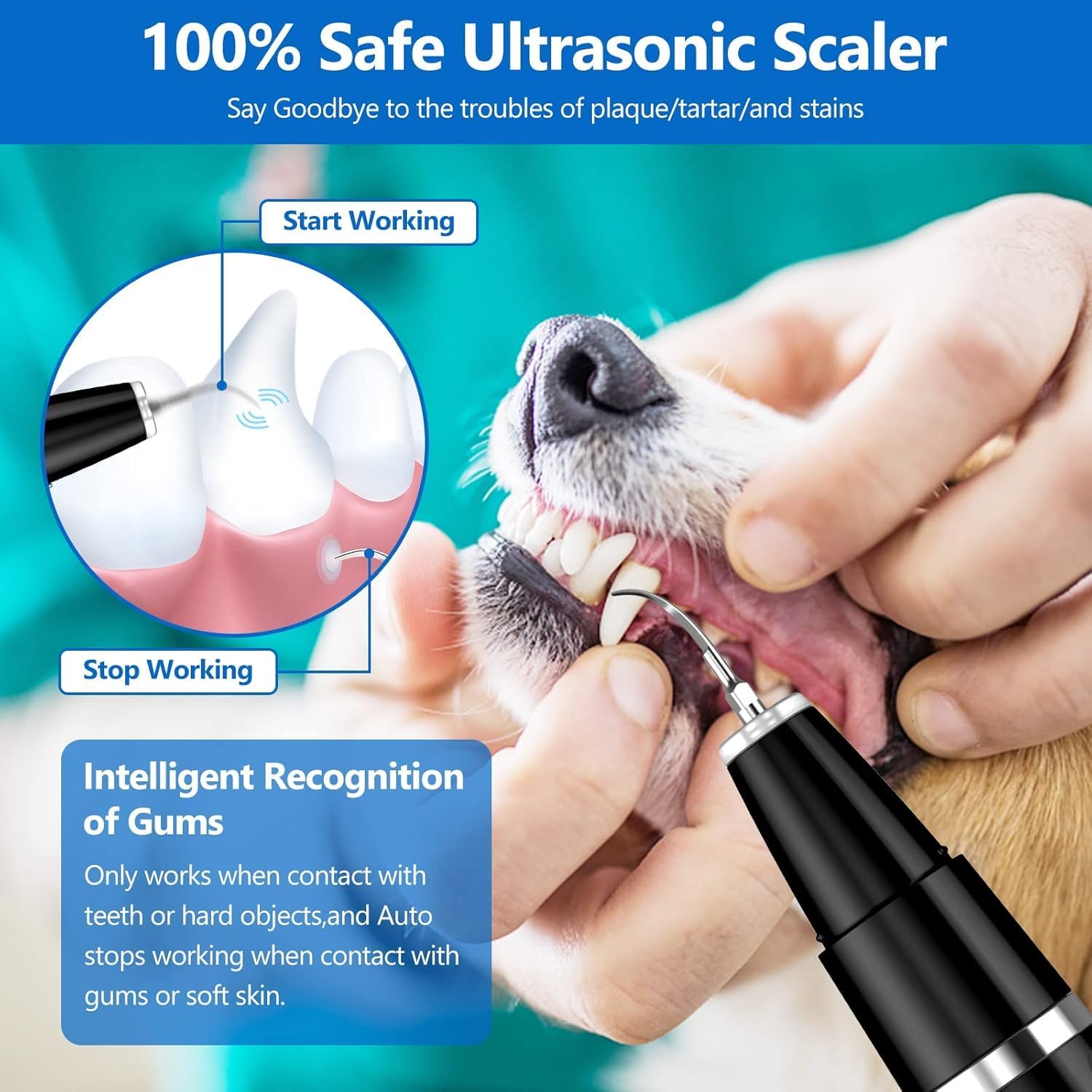 Ultrasonic Dog & Cat Dental Scaler for Home Use – Rechargeable Pet Tooth Cleaning Tool for Tartar & Plaque | Thomler