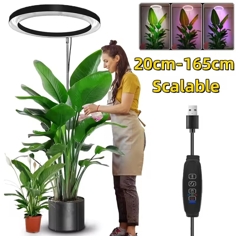 Adjustable Full Spectrum LED Grow Light Stand with Timer & Dimmer – 3 Modes, 10 Brightness Levels, Telescoping 8-65 in Height for Indoor | Thomler