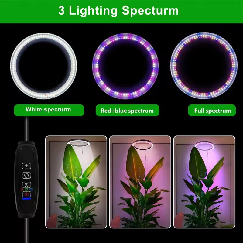 Adjustable Full Spectrum LED Grow Light Stand with Timer & Dimmer – 3 Modes, 10 Brightness Levels, Telescoping 8-65 in Height for Indoor | Thomler